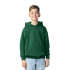 HEAVY BLEND™ YOUTH HOODED SWEATSHIRT
