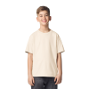 SOFTSTYLE® YOUTH T-SHIRT