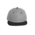 SNAPBACK CAP - 6 PANELS