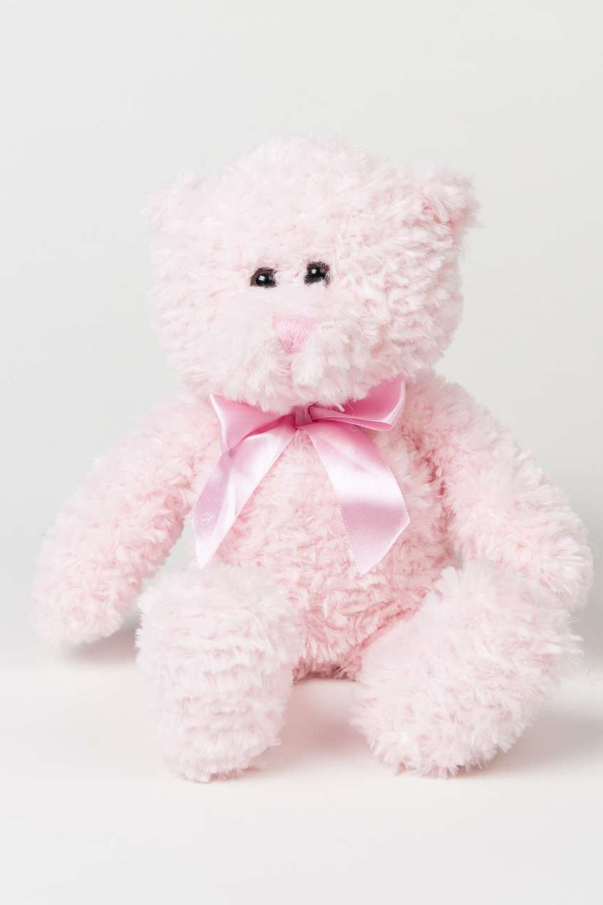 MUMBLES BRUMBLE BEAR