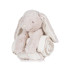 RABBIT AND BLANKET