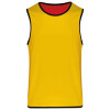 KID'S REVERSIBLE RUGBY BIB