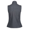 WOMEN'S FLUX SOFTSHELL BODYWARMER