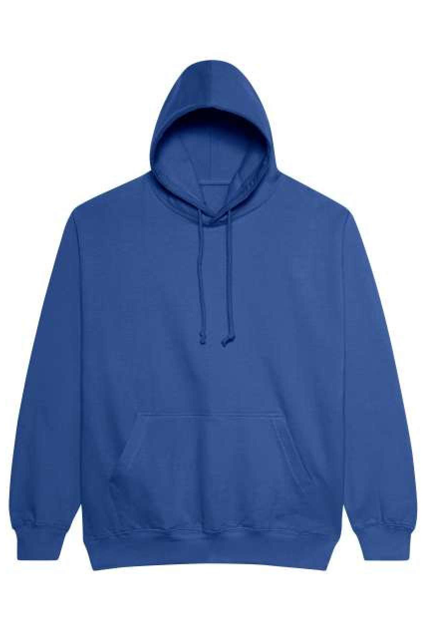 COLLEGE HOODIE