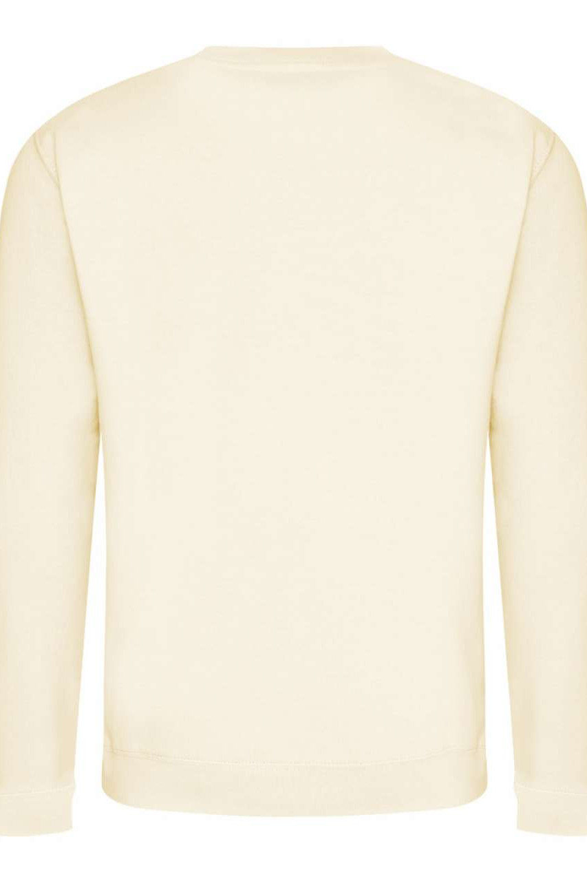 AWDIS SWEAT