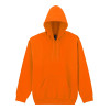DRYBLEND® ADULT HOODED SWEATSHIRT