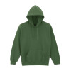 HEAVY BLEND™ ADULT HOODED SWEATSHIRT