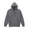 HAMMER MAXWEIGHT ADULT HOODED SWEATSHIRT