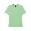 SOFTSTYLE® ADULT T-SHIRT