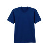 SOFTSTYLE™ MIDWEIGHT ADULT NO LABEL ENZYME WASH T-SHIRT