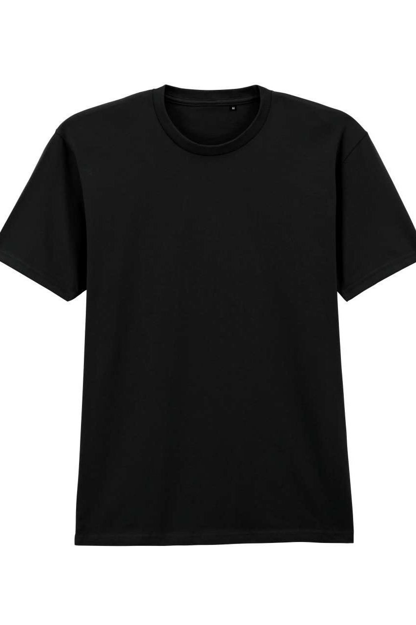 SOFTSTYLE™ MIDWEIGHT ADULT NO LABEL ENZYME WASH T-SHIRT