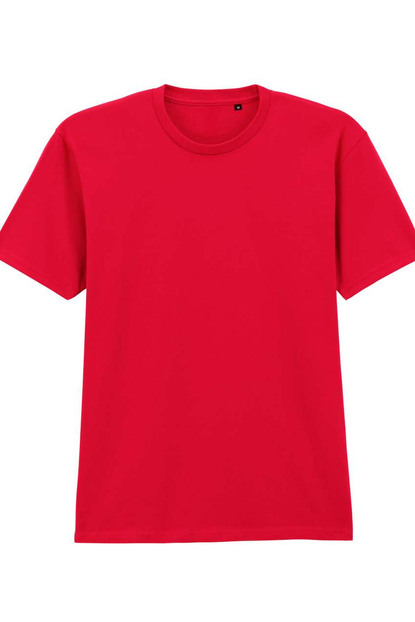 SOFTSTYLE™ MIDWEIGHT ADULT NO LABEL ENZYME WASH T-SHIRT