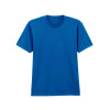 SOFTSTYLE™ MIDWEIGHT ADULT NO LABEL ENZYME WASH T-SHIRT