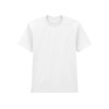 SOFTSTYLE™ MIDWEIGHT ADULT NO LABEL ENZYME WASH T-SHIRT