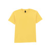 SOFTSTYLE® MIDWEIGHT YOUTH T-SHIRT
