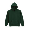 SOFTSTYLE® MIDWEIGHT FLEECE YOUTH HOODIE
