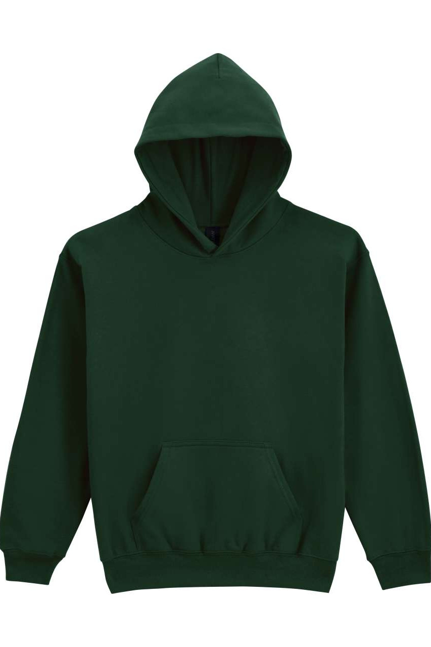 SOFTSTYLE® MIDWEIGHT FLEECE YOUTH HOODIE
