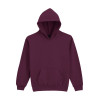 SOFTSTYLE® MIDWEIGHT FLEECE YOUTH HOODIE