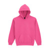 SOFTSTYLE® MIDWEIGHT FLEECE YOUTH HOODIE