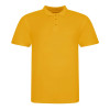 THE 100 POLO