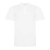 THE 100 POLO