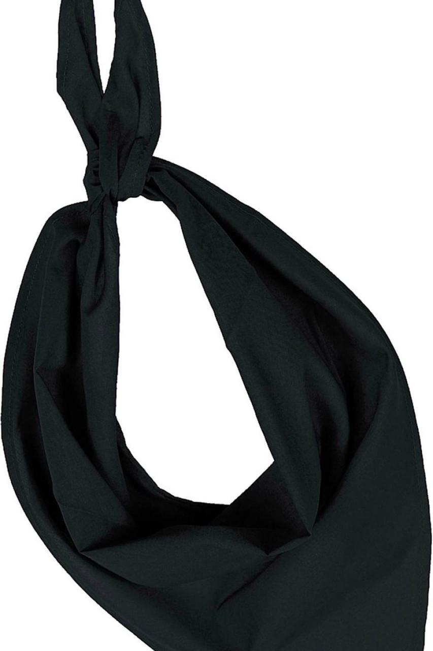 FIESTA - BANDANA
