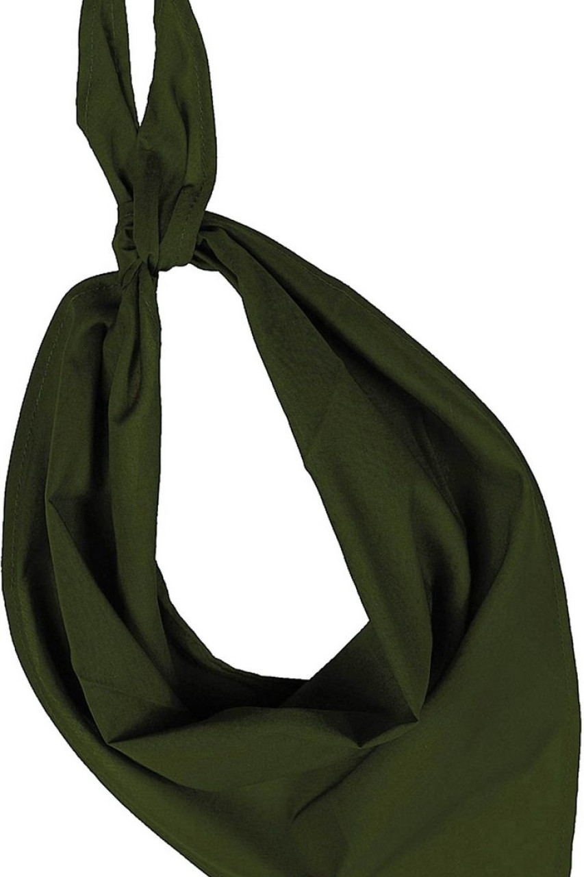 FIESTA - BANDANA