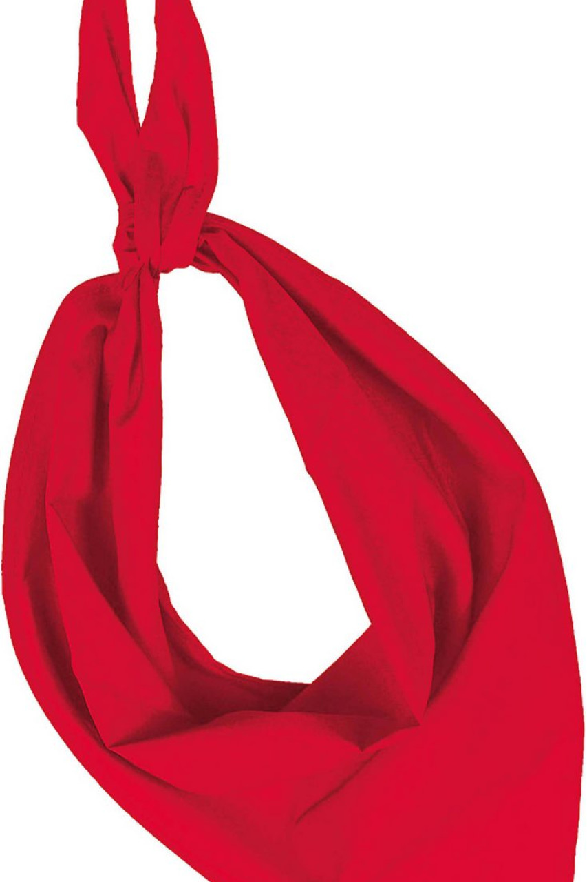 FIESTA - BANDANA