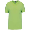 MEN'S SHORT-SLEEVED V-NECK T-SHIRT