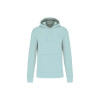 MEN'S ECO-FRIENDLY HOODED SWEATSHIRT