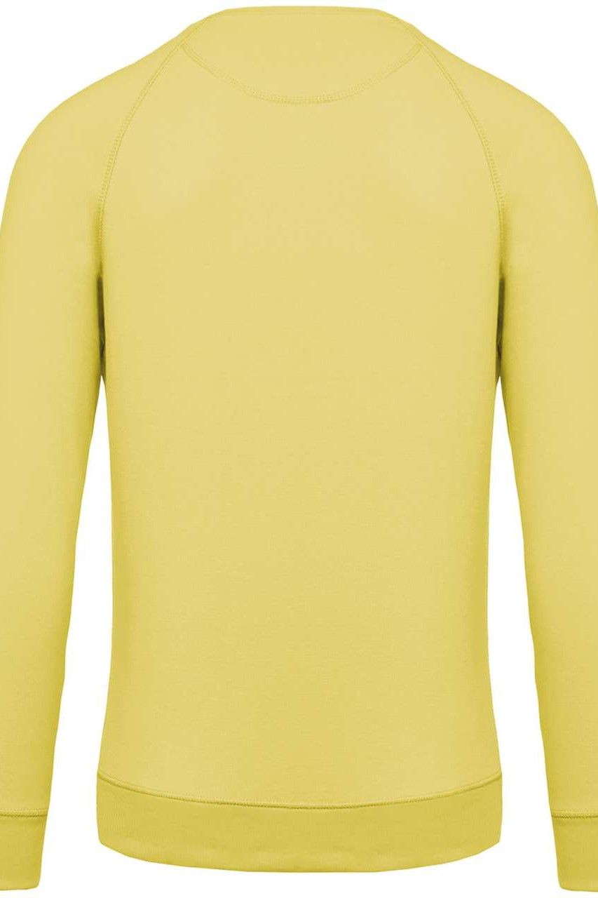 MEN'S ORGANIC COTTON CREW NECK RAGLAN SLEEVE SWEATSHIRT