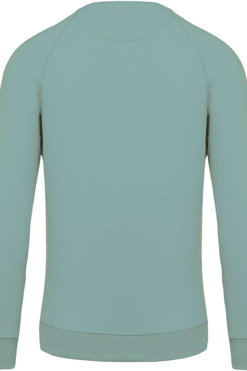 MEN'S ORGANIC COTTON CREW NECK RAGLAN SLEEVE SWEATSHIRT