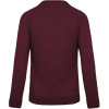 MEN'S ORGANIC COTTON CREW NECK RAGLAN SLEEVE SWEATSHIRT