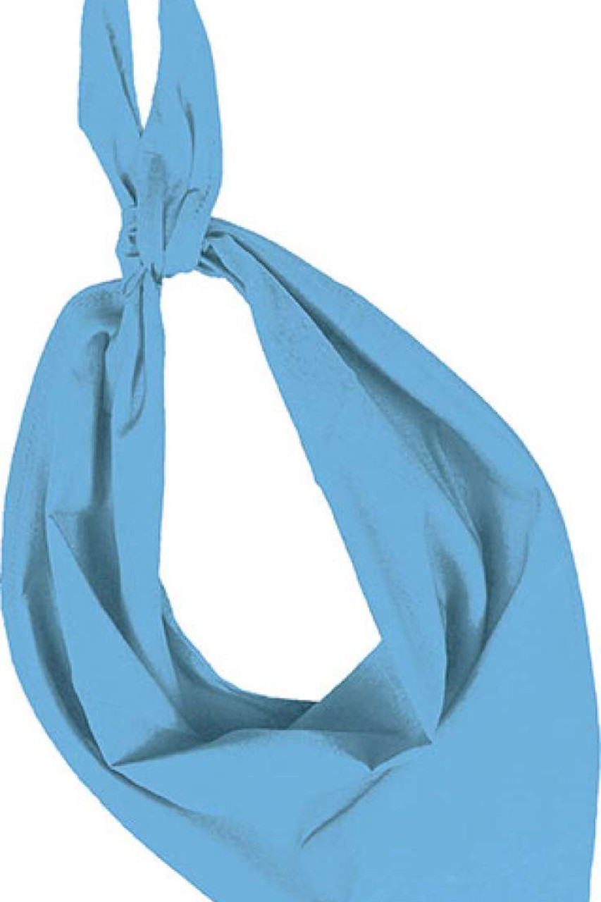 FIESTA - BANDANA