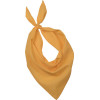 FIESTA - BANDANA