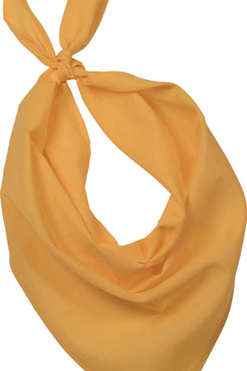 FIESTA - BANDANA