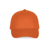 6 PANELS EASY-PRINT CAP