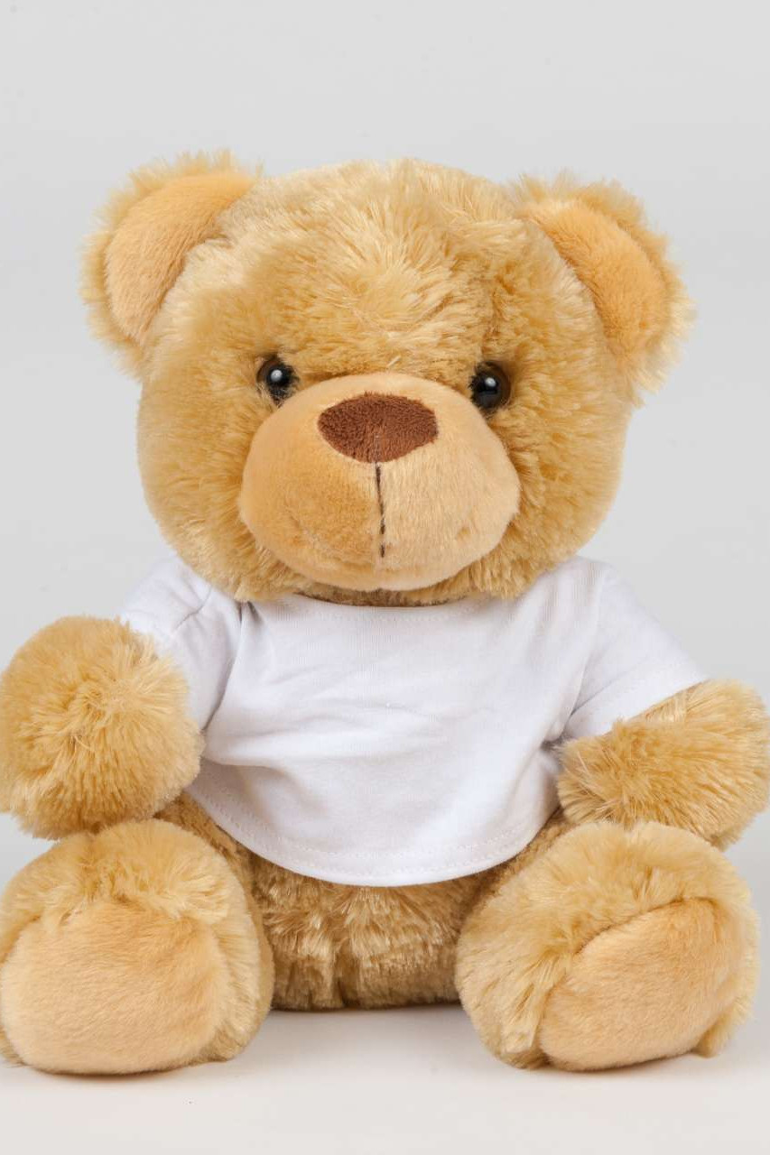 BEAR IN A T-SHIRT
