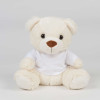 BEAR IN A T-SHIRT
