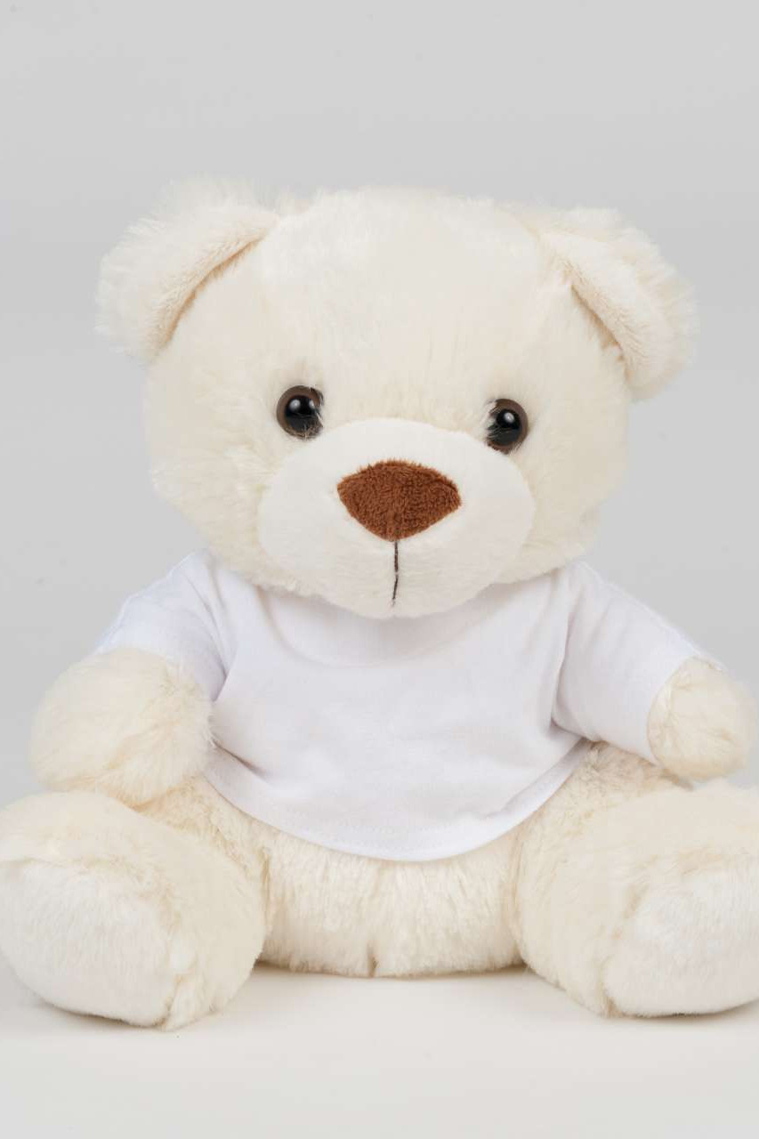 BEAR IN A T-SHIRT