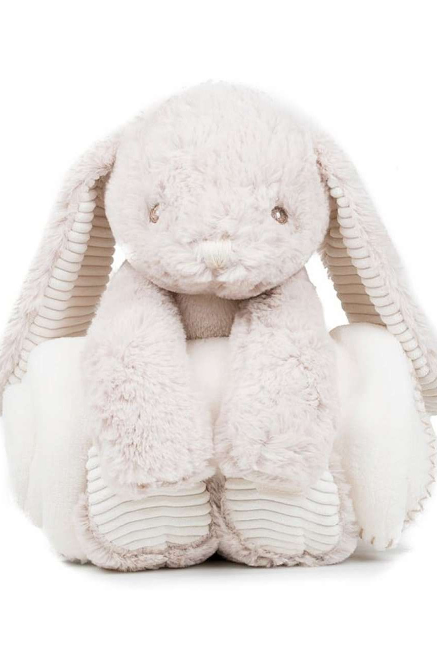 RABBIT AND BLANKET