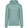 ECO-FRIENDLY UNISEX HOODED SWEATSHIRT