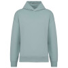 UNISEX OVERSIZED HOODED SWEATSHIRT