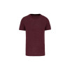 TRIBLEND SPORTS T-SHIRT