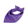 SOL'S BANDANA