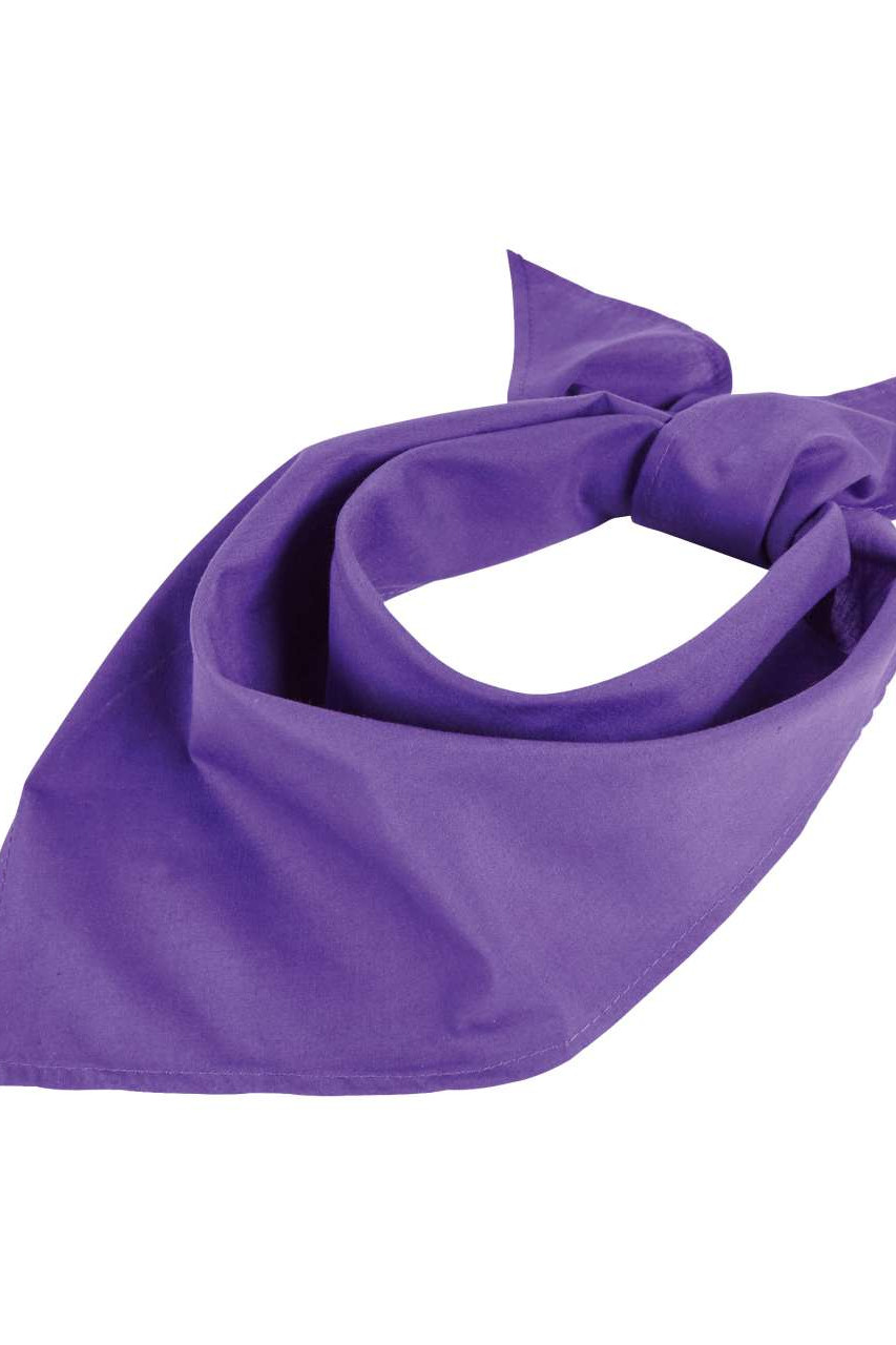 SOL'S BANDANA