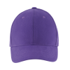 SOL'S BUFFALO - SIX PANEL CAP