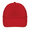SOL'S BUZZ - FIVE PANEL CAP