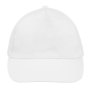 SOL'S BUZZ - FIVE PANEL CAP