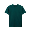 SOFTSTYLE® ADULT T-SHIRT